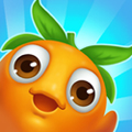 big_icon24