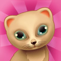 big_icon43