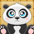 big_icon44