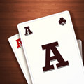 big_icon20