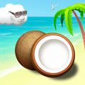 big_icon3