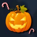 big_icon47