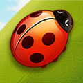 big_icon48