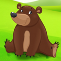 big_icon13