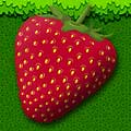 big_icon10